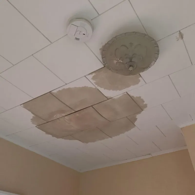 Ceiling Water Damage Repair in Tyro, NC