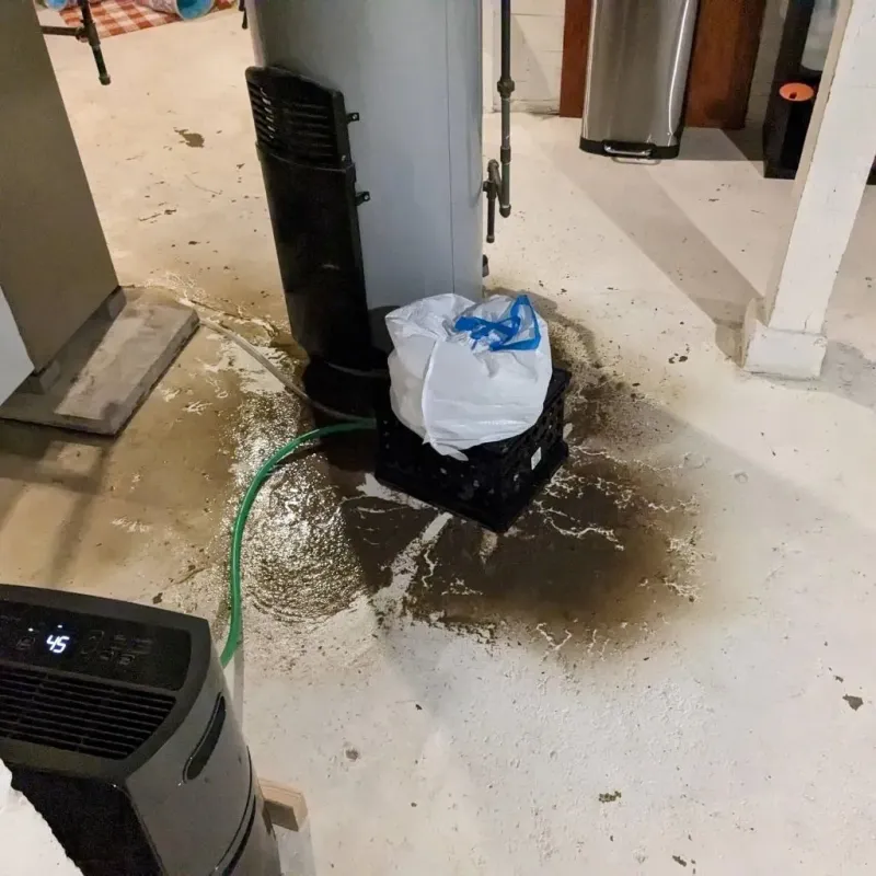 Sewage Backup Cleanup Service in Tyro, NC